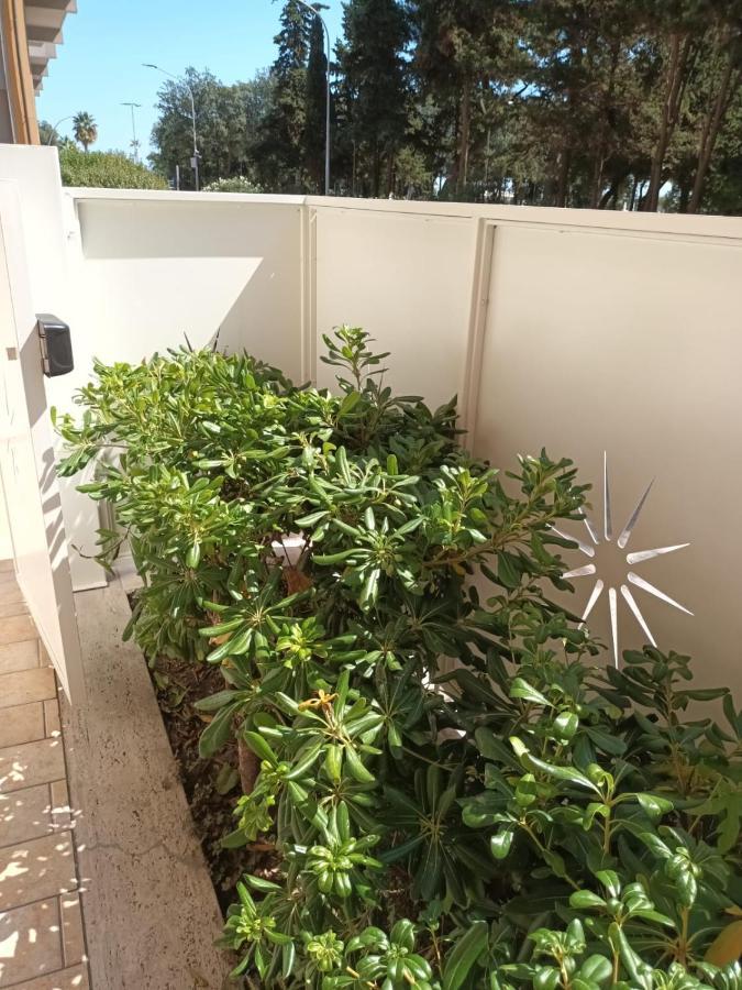 B&B Lido Apartament 10A Civitanova Marche Buitenkant foto